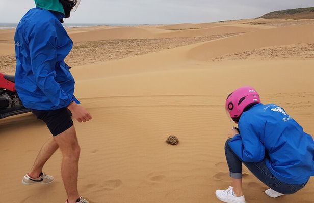 Essaouira: Quad dunes beaches ride (free transfer).