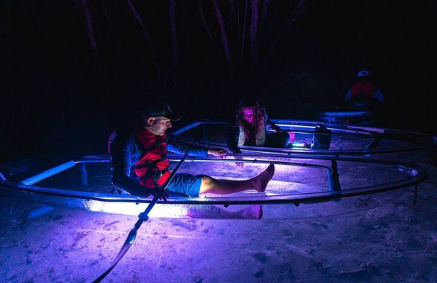 Shell Key Clear Kayak Sunset & Glow Tours