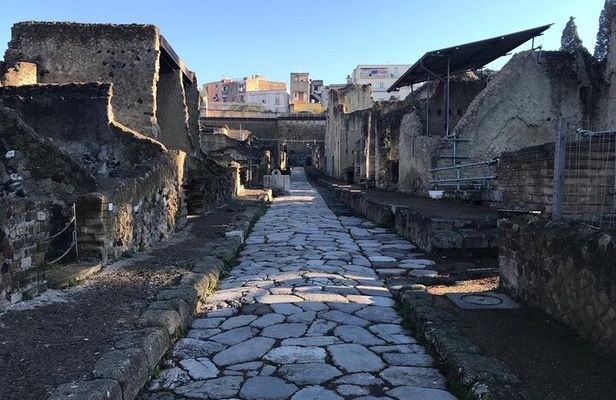 Herculaneum - Private Tour (skip-the-line admission included)