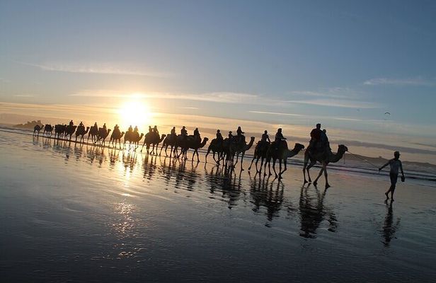 Essaouira: 2H/ Quad + 2H/ Dromedary free transfer