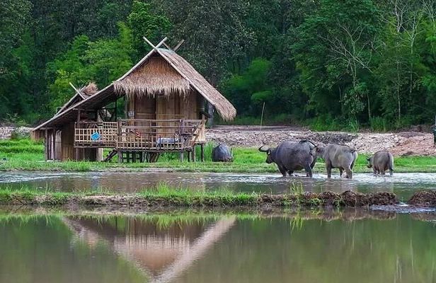 "No.1 Chiang Mai: Leisure Bicycle Ride to Lake Huay Tueng Tao"