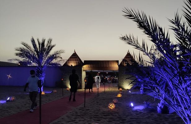 Dubai Desert Safari BBQ & Shows & Quad & Camel Ride & Falcon Pics