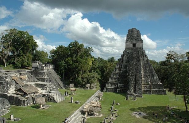 Tikal Maya Temple tour from San Ignacio with sit down lunch