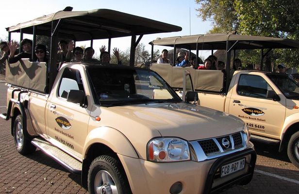 Full Day Safari Shared Tour at Kruger National Park 