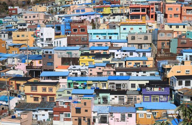 Private Busan tour with gamcheon culture village and the temple (Customizable)