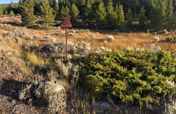 3-Hour E-Bike Tour of Trail of the Silver Kings (Old Mine Tour)