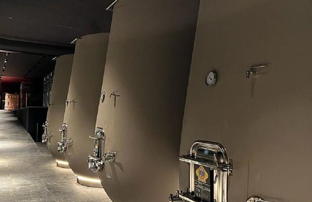 Amarone Wine Tour with 2 Wineries Lunch and Private Transfer