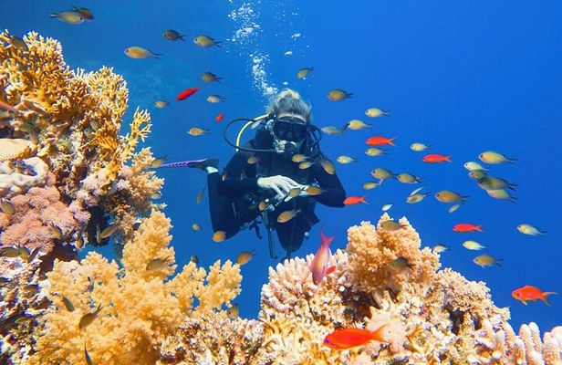 Private Snorkeling day Trip with Paradise Island or Orange Bay