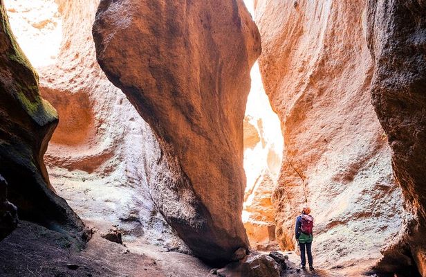 Small-Group Half-Day Canyoning in La Orotava