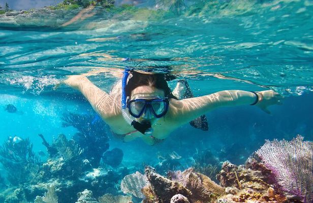 8-Day Galapagos Multisport: San Cristobal, Isabela and Santa Cruz