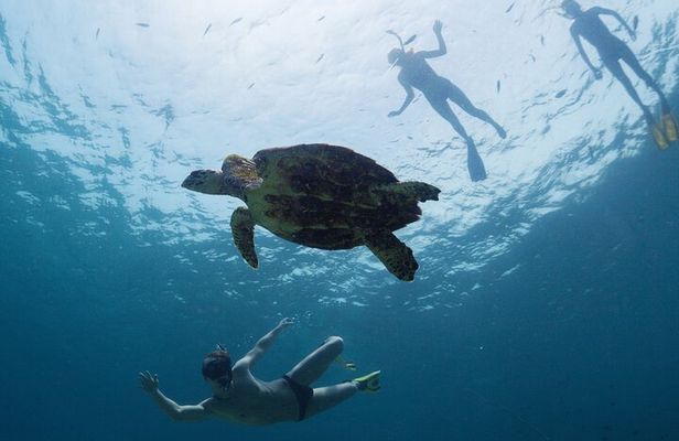 12-Day Galapagos Superior Adventure (Tourist Superior Class)