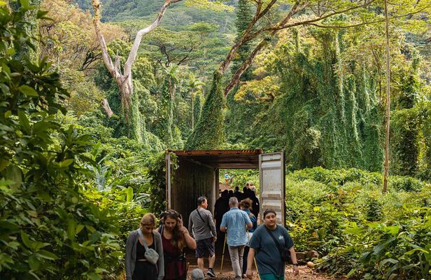 Manoa Waterfall Hike