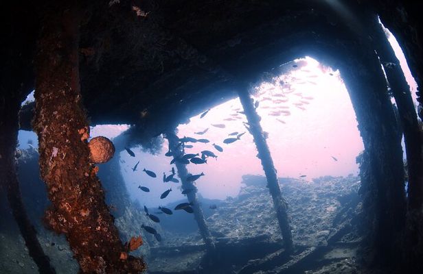 Try Diving in Tulamben - Shipwreck
