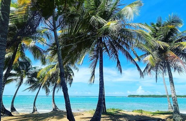 Hidden Fresh Spring of Water+ Cave+ Beach & Food Full Day Tour