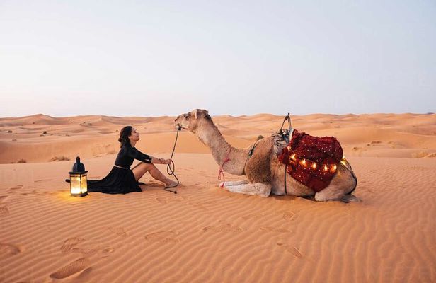 Morocco 8 Days privat tour Marrakech-Sahara Desert-Chefchaouen