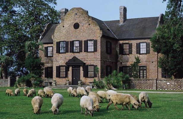 Middleton Plantation-3 hour guided tour- hotel pickup-admission