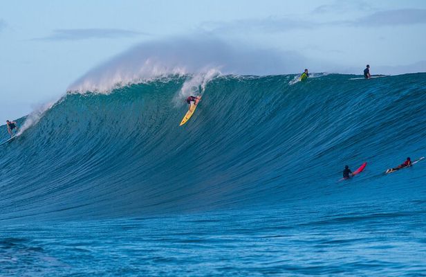 Learn to surf with a local big wave rider on the North Shore of Oahu