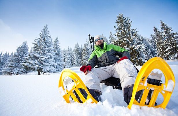 Snowshoeing in Levi