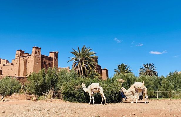 2-Days Ouarzazat & Ait ben Hadou Kasbah tour from Marrakech