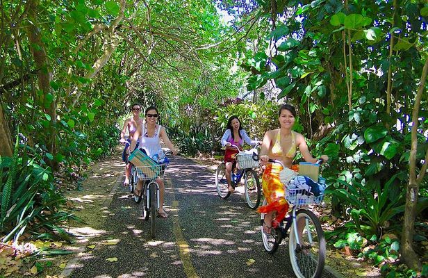 Deluxe North Shore Adventure from Ko Olina