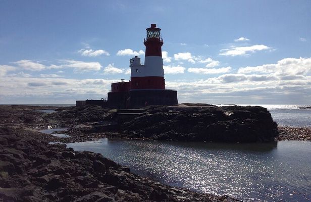 Farne Islands Longstone Lighthouse 2-Hour Trip from Seahouses