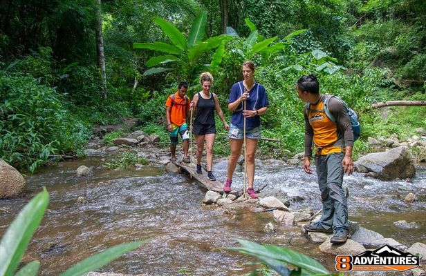 Trek to a Jungle Waterfall