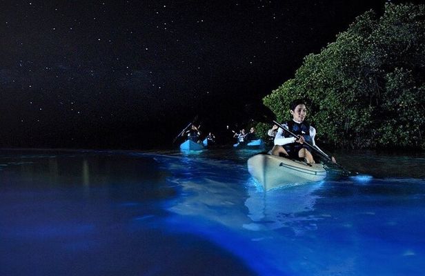 Bioluminescence Tour in Kayak in Holbox Island