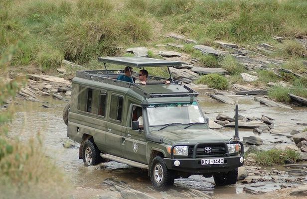 3-Day Masai Mara Group Safari with Pick Up