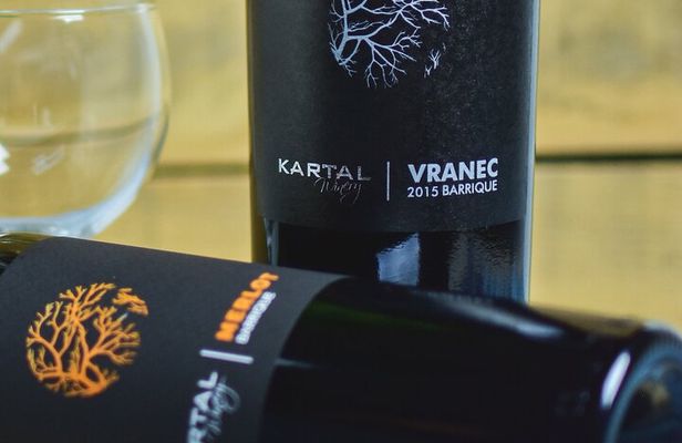 Premium Oak Aged Wines Tasting Tour in Family Winery Kartal in Skopje