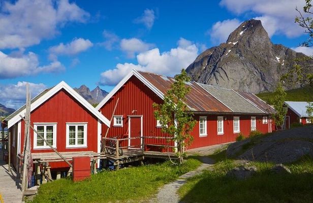 Special Summer Cruise Bus Tour of Lofoten