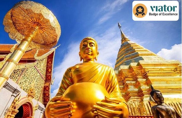 The Best City Tour View Points Wat Doi Suthep, Wat Chedi Luang and Wat Pha Lat 