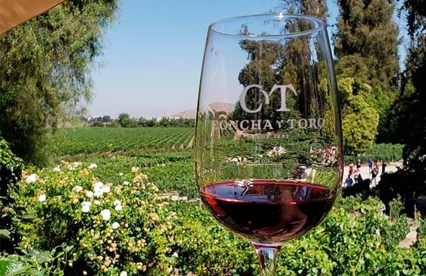 Concha y Toro Vineyard Tour From Santiago
