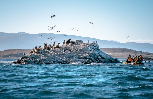 Full-Day Tour to Puerto Almanza from Tierra del Fuego
