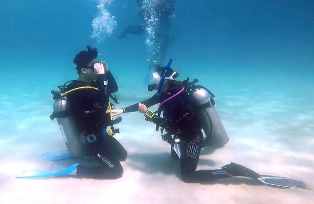 PADI Open Water Diver Course