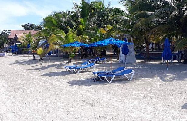 Negril 7 Miles Beach and Rick's Cafe Tour