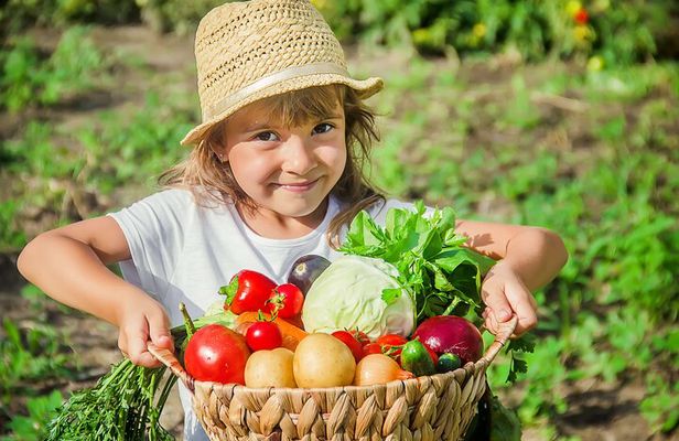 Hands-On Cooking Class & Farmhouse Tour on the Amalfi Coast