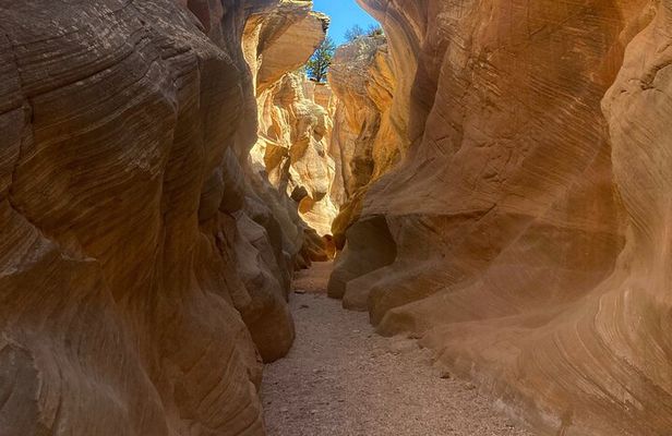 Slot Canyon 2hr tour at Willis Creek