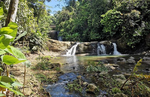 Bribri Esoteric Tour: Indigenous Shaman Ceremony & Waterfalls