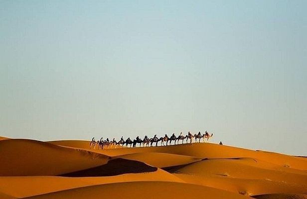 Night In Merzouga Desert, Camel Ride, Tent With Private Bathroom