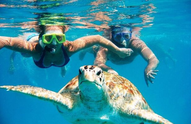 Nassau: Private Island & Snorkeling, Turtles, Drinks & BBQ