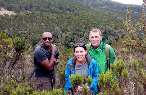 Kilimanjaro 1 Day Hike
