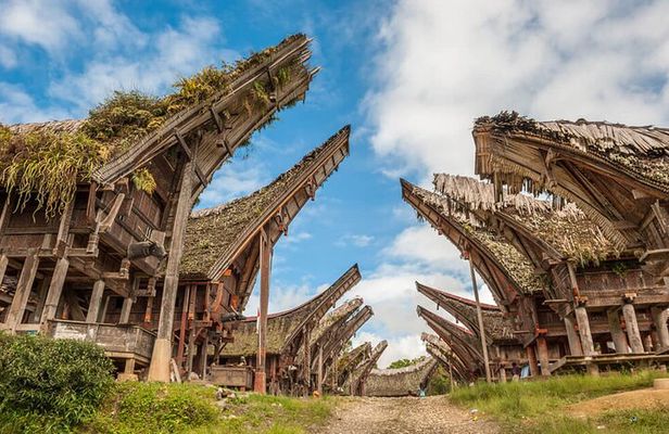 Toraja Highlight 3 Days