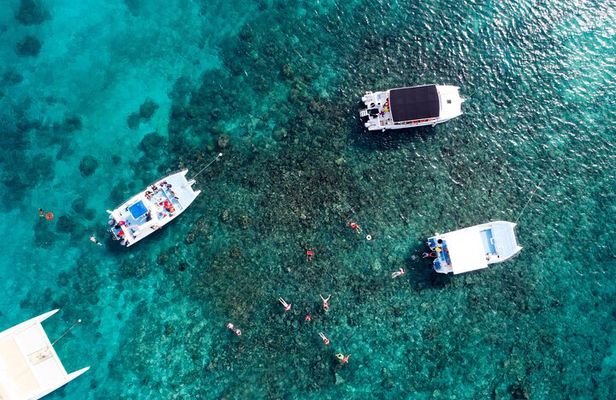 Private Catamaran to Catalina Island With Lunch & Snorkeling