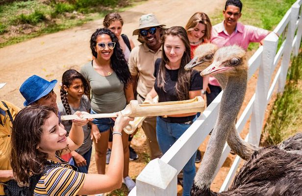 Xploration Animal Encounters Half Day Tour from Punta Cana