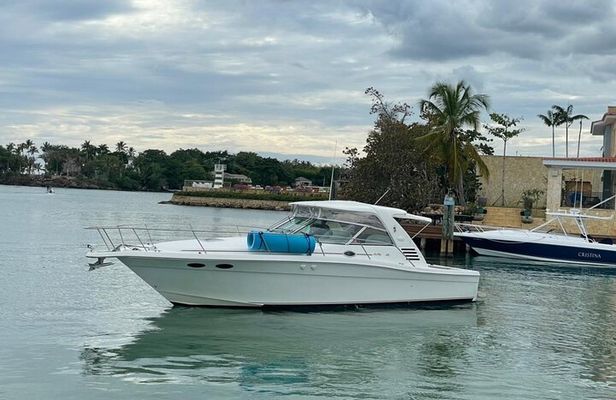 Private Yacht Tours To Isla Saona, Natural Pool Palmilla And Snorkeling.