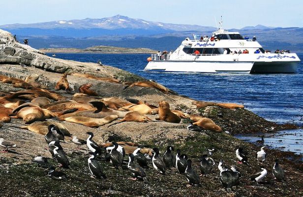 Explore the Beagle Channel: Navigate and Trek the Bridges Islands