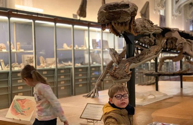 Washington DC Museum of Natural History Private Family tour