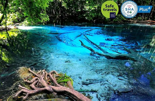 Jungle Tour to Emerald Pool, Krabi Hot Spring and Tiger Cave Temple