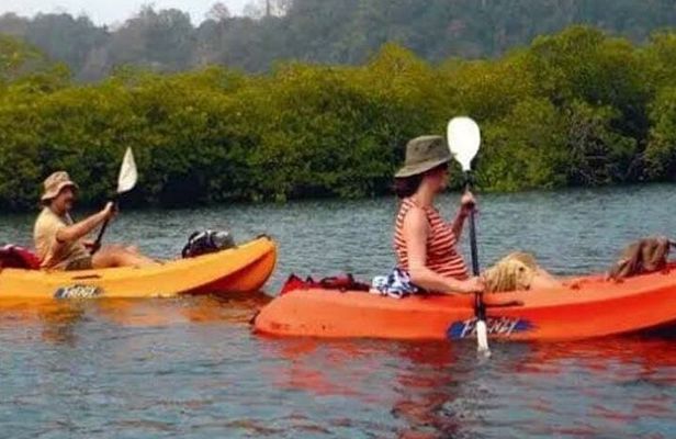 Mangroves Kayaking At Havelock