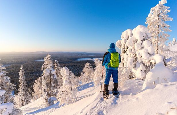Lapland Winter Experience